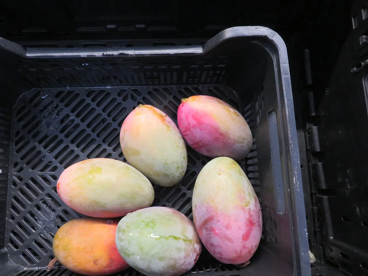 Mangos en una caja de fruta
